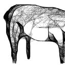 Grafika z ramą - nr 75 - owca, czemu jej nie kochać