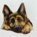 Portret pupila ze zdjęcia na zamówienie