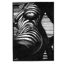 Akt - Zebra I (A4) grafika kobiecy, artystyczny, fine art nude