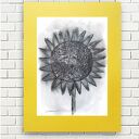 Minimalistyczny rysunek słonecznik 30x40 - ręcznie malowany tuszem