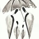 Zamówienie - zestaw 3 grafik A4 Body Flowers - czarny tusz na papierze akwarelowym, sygnowane