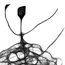 Grafika z ramą - nr 88