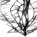 Grafika z ramą - nr 41