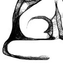 Grafika z ramą - Kot nr 110