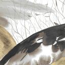 Abstrakcja "Fenomenarium" grafika ręcznie malowana i złocona o wymiarach 70cm x 50cm