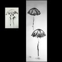 zamówienie specjalne - grfiki z cyklu Rain 25x40 i 40x110