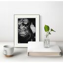 Akt Zebra I (A4) - ręcznie rysowana grafika fine art nude z tuszu