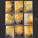 Złoty Ogród - zestaw 9 grafik 13x18 cm