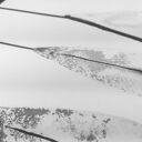40x50 malowany ręcznie, abstrakcja czarno-biała, plakt ZAMÓWIENIE