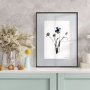 Grafika z ramą - nr 124-chabry