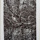 Linoryt "Poranek w namorzynach" grafika, obrazek