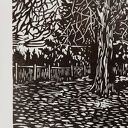 Linoryt "Orzech włoski" grafika, obrazek