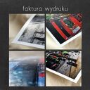 4 grafiki A4 Kwiaty na łące - zestaw plakatów rośliny