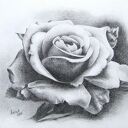oryginalny rysunek grafitem A4