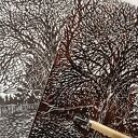 Linoryt "Orzech włoski" grafika, obrazek