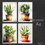 4 grafiki A4 dla miłośników roślin ROŚLINY 4 (21x29,7 cm) reprodukcja obrazów mojego autorstwa. Zestaw