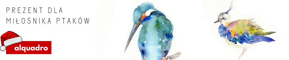 prezent dla miłośnika ptaków