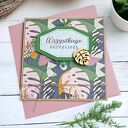 Wszystkiego najlepszego: monstera: jungle