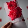 Happy Valentines Days Card for Wife or Girlfriend, I Love you Karteczka 3D na prezent