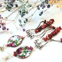 Klipsy elementy naturalne koral sieczka dużej lekkie box X1