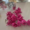 Klipsy zwariowane lekkie dlugi leciutkie amarantowe uwaga poezja: panienka ze Zgierza ma niezłego j