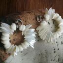 Duże klipsy etno koła z masą perłową - boho perły 7x8 cm