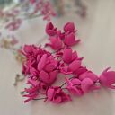 Klipsy zwariowane lekkie dlugi leciutkie amarantowe uwaga poezja: panienka ze Zgierza