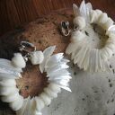Duże klipsy etno koła z masą perłową - boho perły 7x8 cm