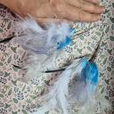 Kolczyki długie pióra kolorowe bardzo stylowe polecam zwracają uwagę duże leciutkie cudne Box X1