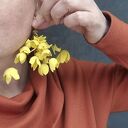 Kolczyki duże lekkie żólte kwiaty rękodzieło