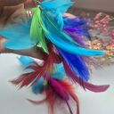 Kolczyki pióra lekkie