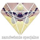 Zamówienie specjalne