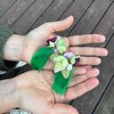 Kolczyki kwiaty i zielone pióra