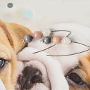 Srebrne kolczyki - trzy minerały