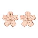 Kolczyki z niezapominajki z różowego złota