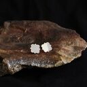 Srebrne kolczyki geometryczne w kształcie czteroliścia