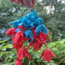 Kolczyki kwiaty czerwono -niebieskie, leciutkie, obłędne zwracają uwagę, kolczyki które wyglądają tak