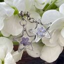 Kolczyki gwiazdki z niezapominajkami k637