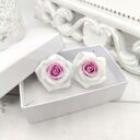 Wiszące kolczyki róże 2,5 cm, białe z różowym środkiem, romantyczne