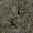 Złote kolczyki muszle