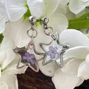 Kolczyki gwiazdki z niezapominajkami k637