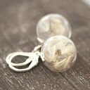 Sterling 925 ♥ Prawdziwy Dmuchawiec ♥ Kolczyki