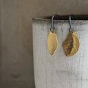 Kolczyki Złote Piórka