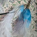 Kolczyki długie pióra kolorowe bardzo stylowe polecam zwracają uwagę duże leciutkie cudne Box X1