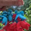 Kolczyki kwiaty czerwono -niebieskie, leciutkie, obłędne zwracają uwagę, kolczyki które wyglądają tak