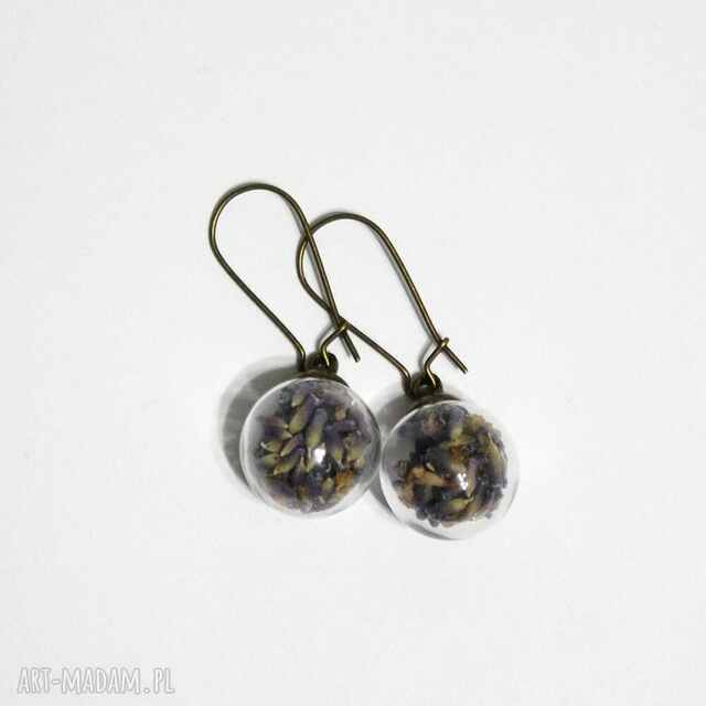Lawendowy sekret miłości - kolczyki z lawendą, brąz