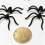 w pajęczej sieci giną dzieci - owady pająki wkrętki