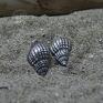 sea shells i wkrętki