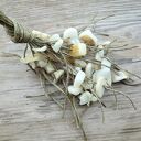 masy perłowej naturalna mocca