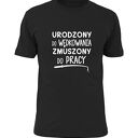 z nadrukiem dla wędkarza, prezent najlepszy wędkarz, wędkarstwo, koszulki, urodziny